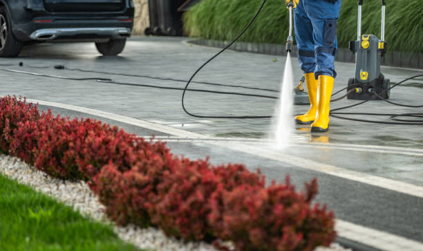 Best Soft Washing  in Biscoe, NC